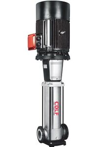 Fancy CDLF 2-2